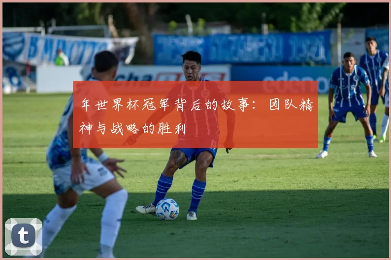 年世界杯冠军背后的故事：团队精神与战略的胜利