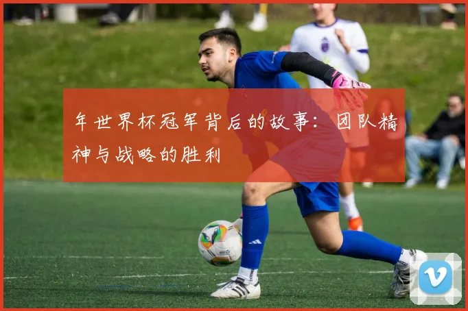 年世界杯冠军背后的故事：团队精神与战略的胜利