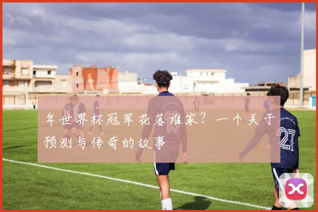 年世界杯冠军花落谁家？一个关于预测与传奇的故事