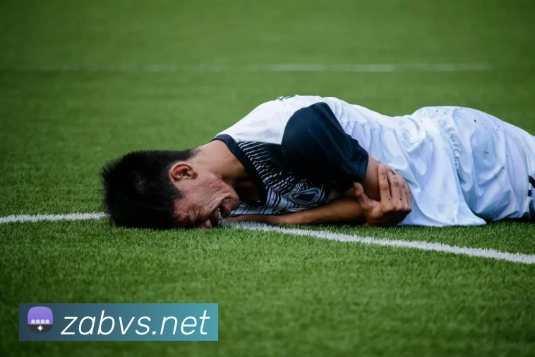 leyu乐鱼在线官网APP 高清赛事图